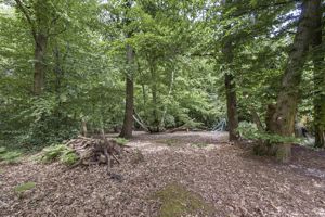 Photo 24- click for photo gallery